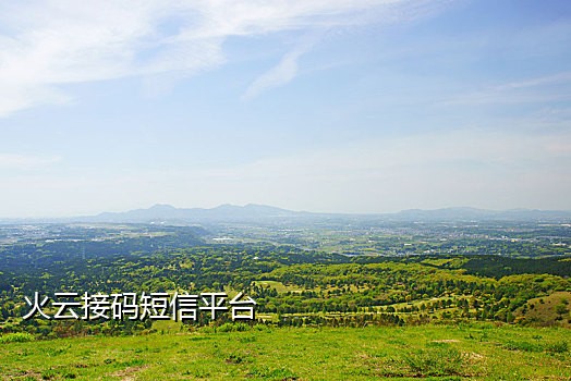 代接短信验证码软件在线使用