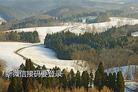 蝙蝠上说接码是什么意思