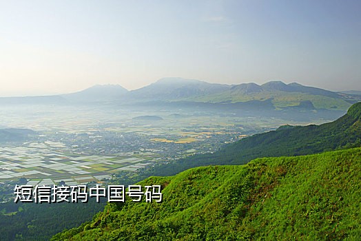 百度接码软件下载