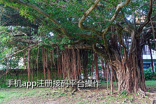 百度地图接码