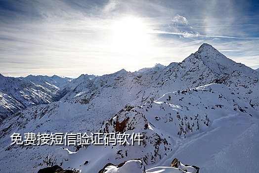 安app发送验证码怎么接不到苹果