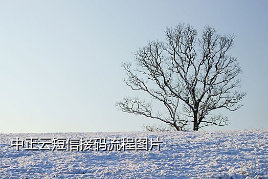 sms短信平台接码