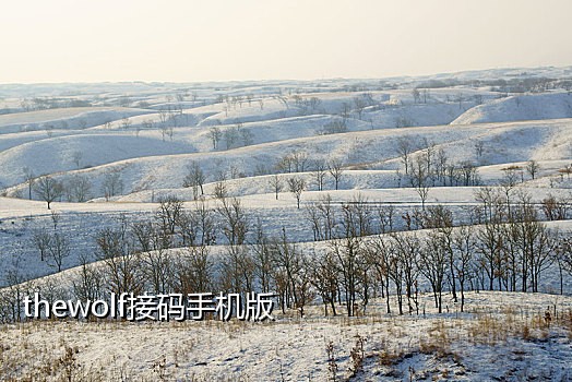 qq接码app哪个好用
