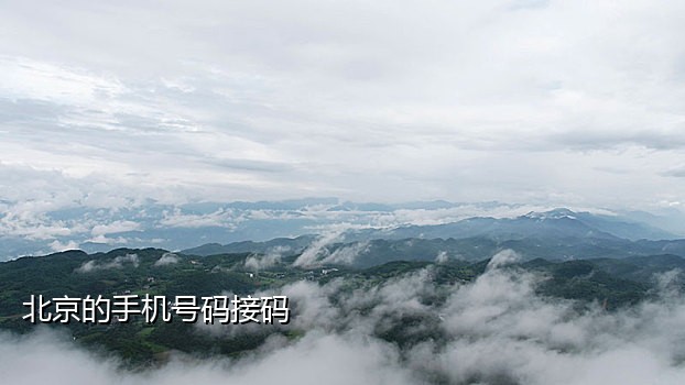 2017手机验证接码