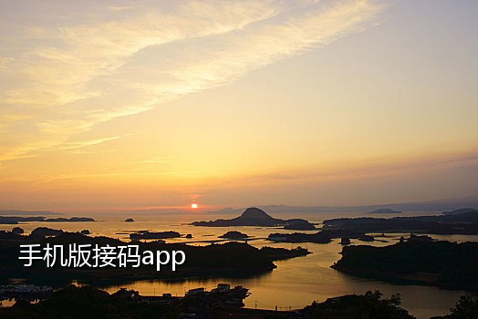 2021年淘宝接码平台