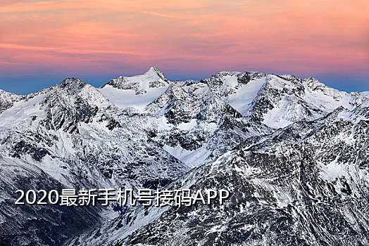 106短信接码软件