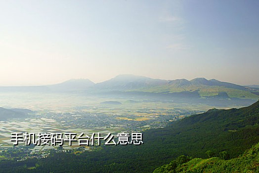 最新接码短信平台有哪些呢