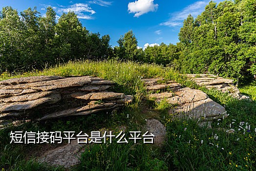 注册微信接码什么价