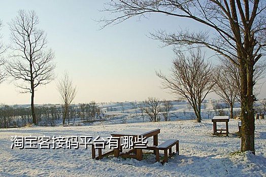 支付宝接码兼职怎么做推广