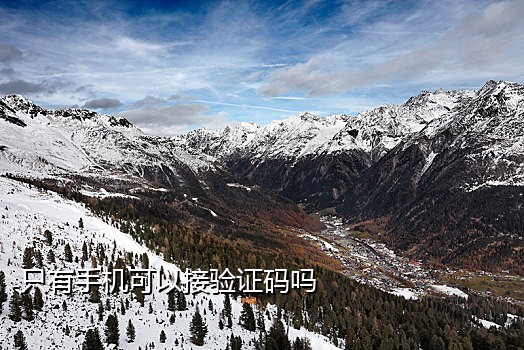 在线接短信码