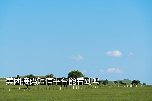 在线短信接码平台