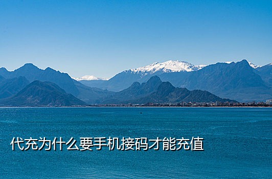 手机接验证码保镖