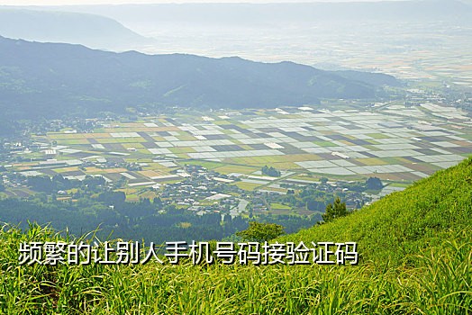 原手机号接不到验证码短信