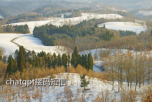 语音短信接码
