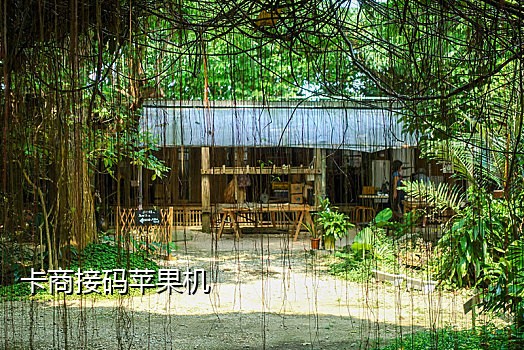 印尼手机号接验证码