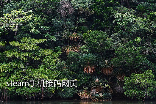 易信短信接码