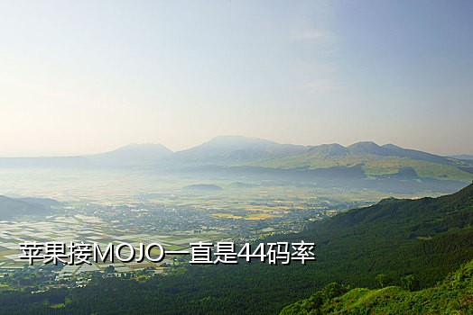 一次性手机号接码