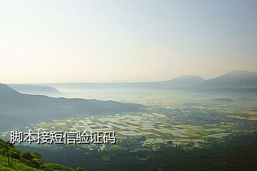 椰子接码能注册陌陌吗