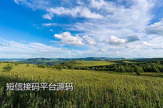 虚假手机号接验证码用