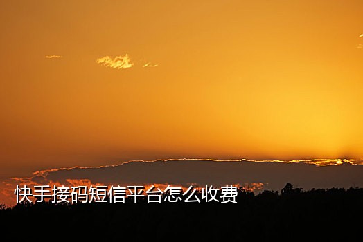 星巴克接码平台