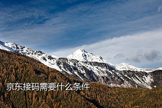 星巴克接码号是什么意思