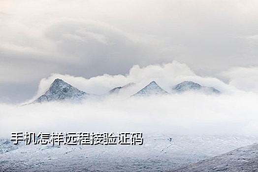 信和接码下载手机版