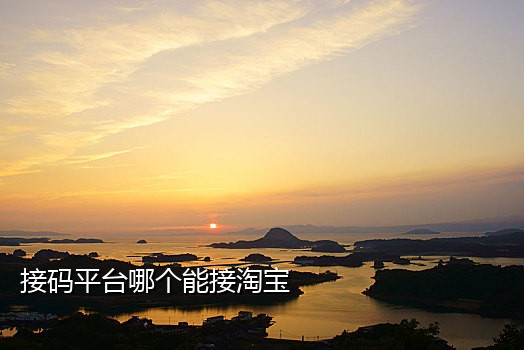 注册外国微信的接码平台