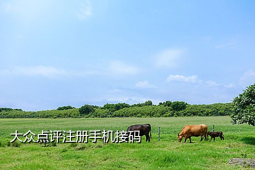 小白接码的微信客服