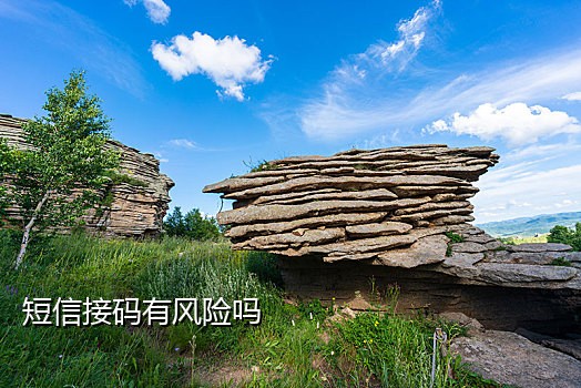 闲鱼电话接码流程图解视频