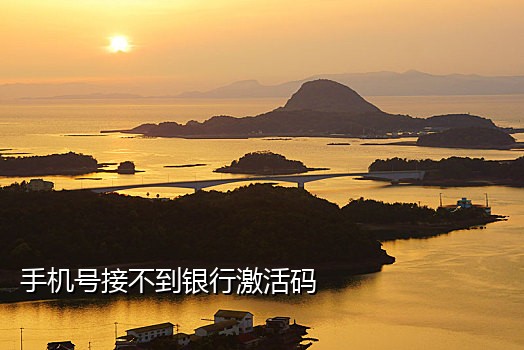 注册接码淘宝项目