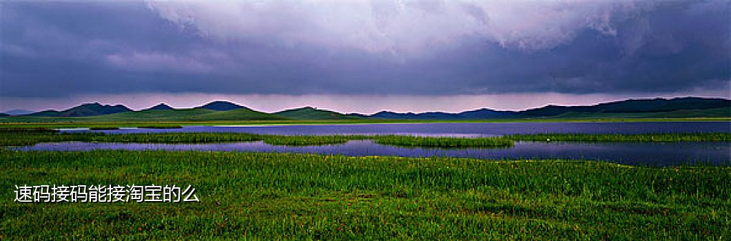 微信商户号可以接扫码枪吗