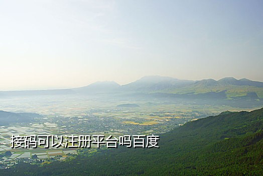 微博接码平台
