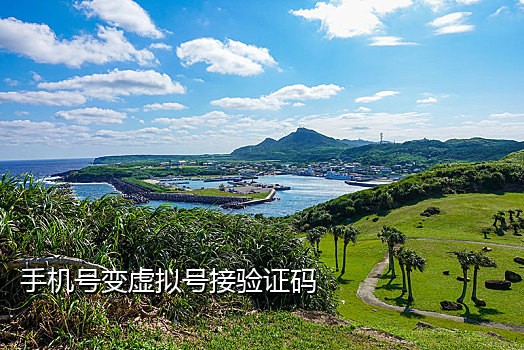 中国虚拟手机短信接码