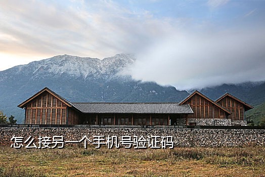 淘宝联盟拉新接码