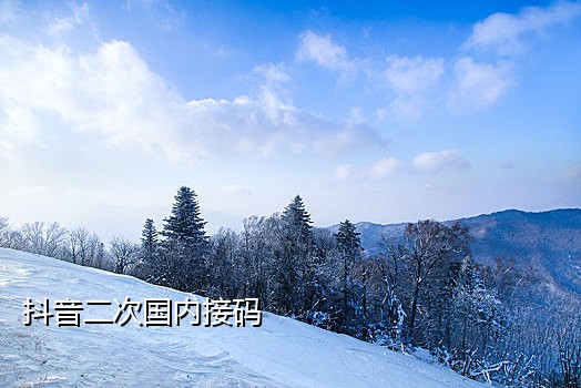 淘宝接码是做什么
