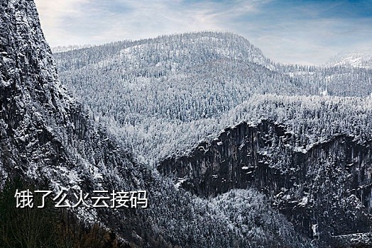 刷微信扫码关注接码