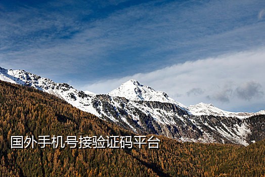 手机最好的接码平台