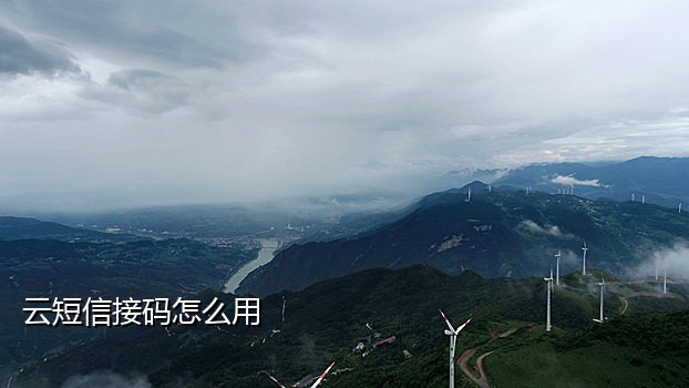 手机注册歪歪接码平台