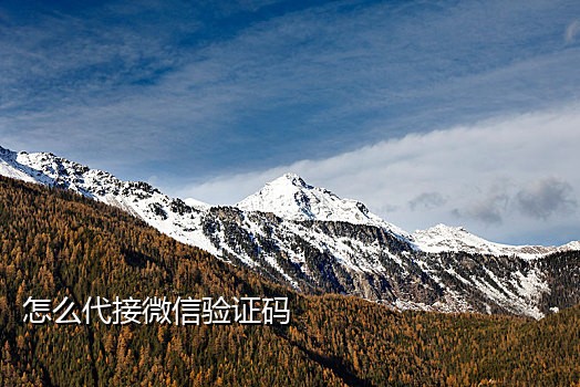 手机怎样接码