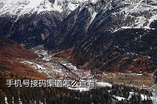 手机在国外怎么接验证码