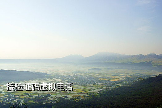 手机验证码接平台