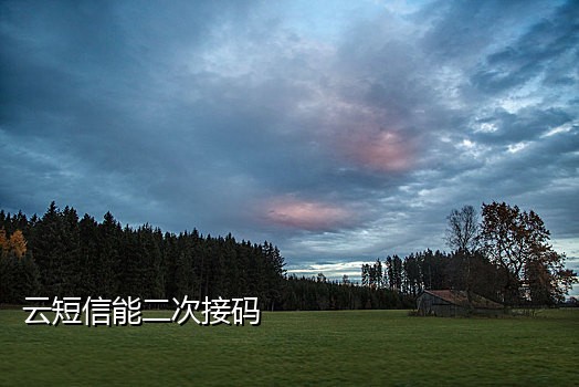 手机验证码接不到在哪里调
