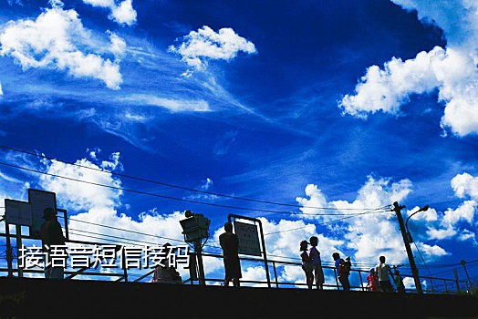 手机接码源码