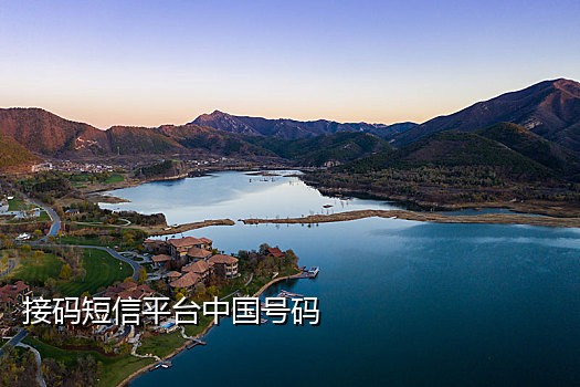 手机接码软件合集