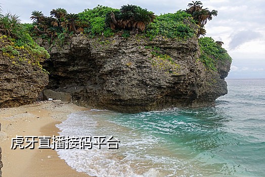 手机接码平台2018