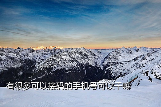 手机号接码渠道