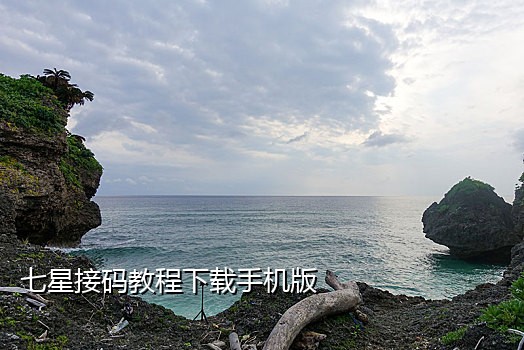 手机短信接码app