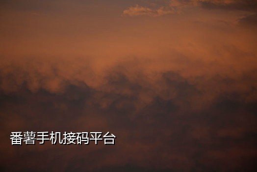 手机代替接验证码