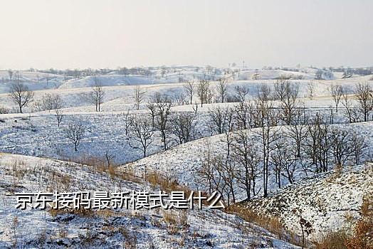 谁收陌陌美国接码号