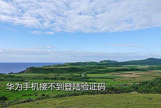 支持淘宝接码